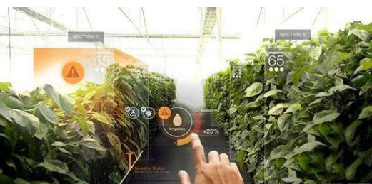 VR還能這么玩!農業+VR,玩轉農業新技術