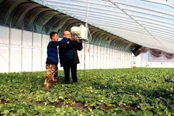對不起，我跟著華為，辭職種地了！