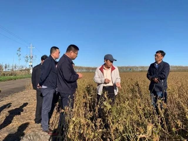 未來農業價值可期!阿里、京東、華為,碧桂園紛紛發力數字農業