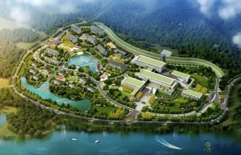 鄧興旺:我為何回國辦現代農學?
