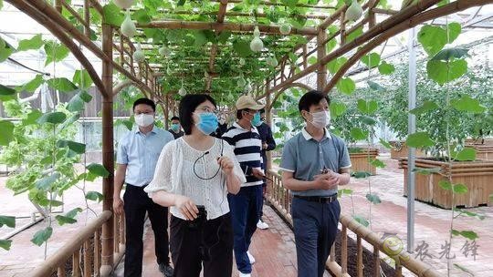 四川瀘州現代農業:農旅項目