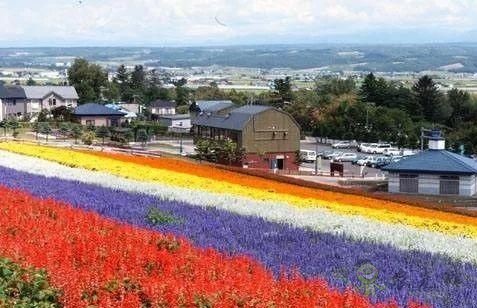 日本農業