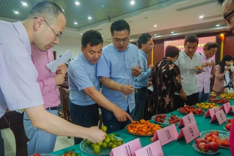 高效果菜新優品種品鑒交流會舉行,一批優質新品種有望走上市民餐桌