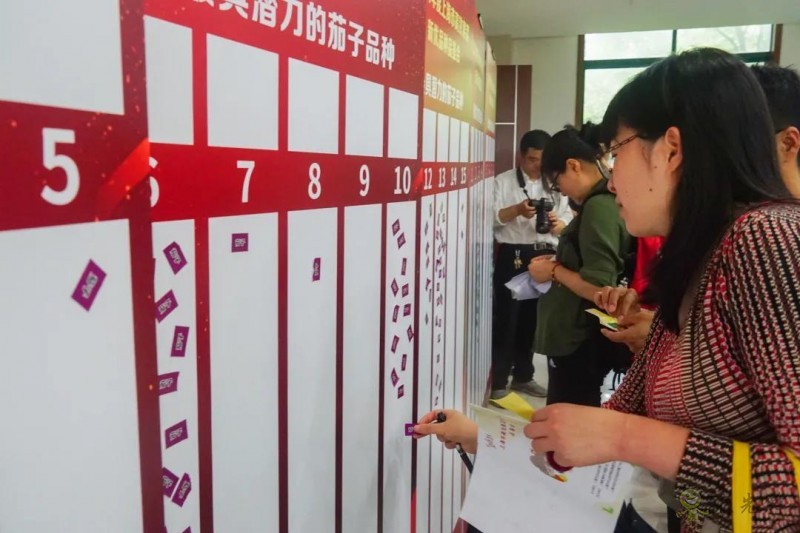 高效果菜新優品種品鑒交流會舉行,一批優質新品種有望走上市民餐桌