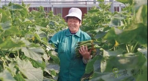 ?鄉村振興,壽光答卷