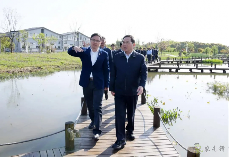 上海市委書記李強談鄉村振興:三個價值、三個空間、三個趨勢