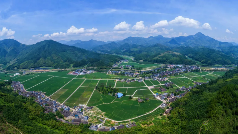省農(nóng)辦印發(fā)意見,進(jìn)一步加強(qiáng)山區(qū)26縣結(jié)對(duì)幫扶工作