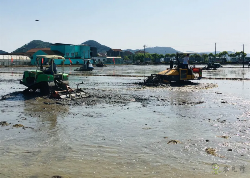 浙江農業農村:推動“機械強農”行動