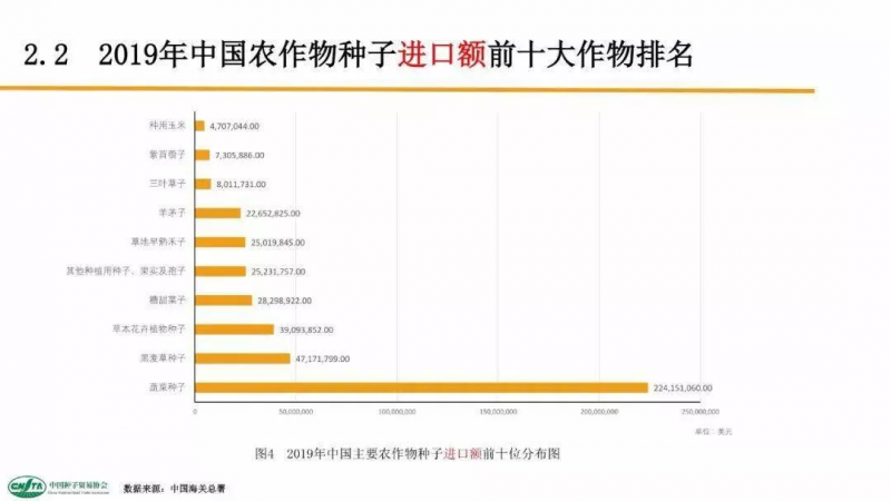 中國每年進(jìn)口7萬噸“洋種子”:14億人的飯碗,能端穩(wěn)嗎?