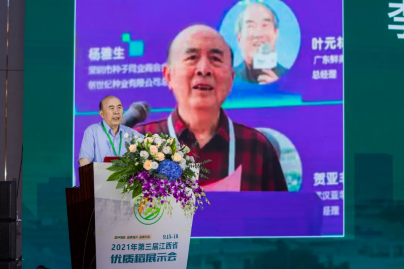 李立秋：種業(yè)振興，難題怎么解？