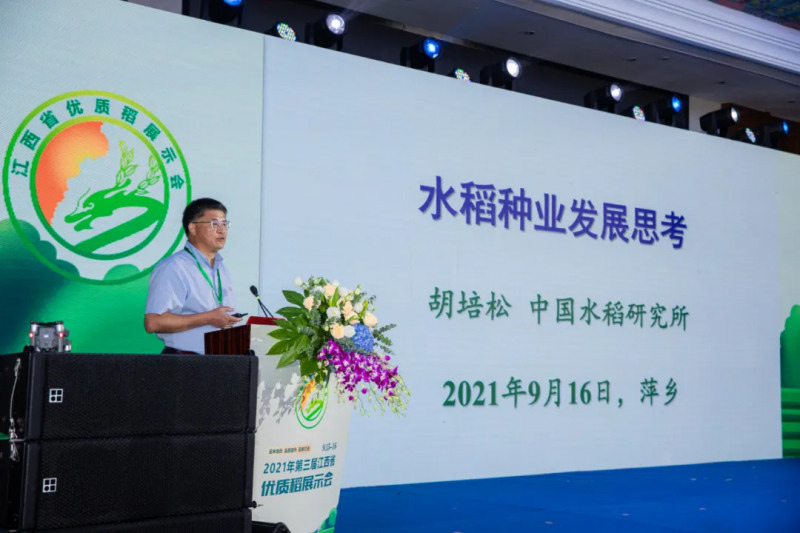 李立秋：種業(yè)振興，難題怎么解？