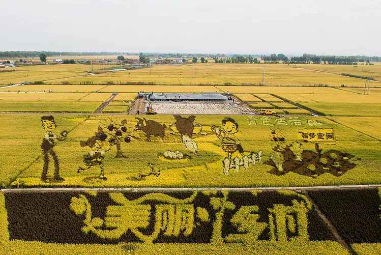 習近平:堅持農業農村優先發展,加快農業農村現代化