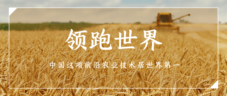 領(lǐng)跑世界:中國這項(xiàng)前沿農(nóng)業(yè)技術(shù)居世界第一