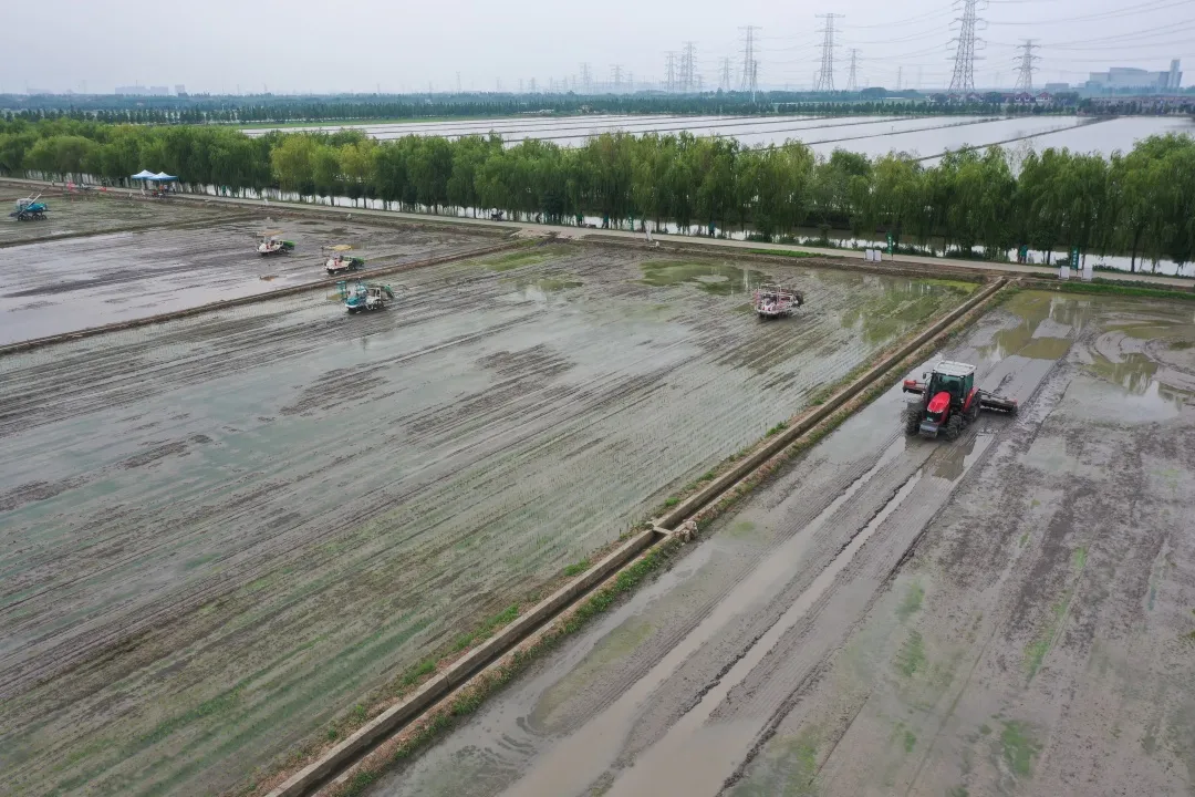 水稻無人農場未來將走向何方？羅錫文院士團隊來滬指導無人農場建設