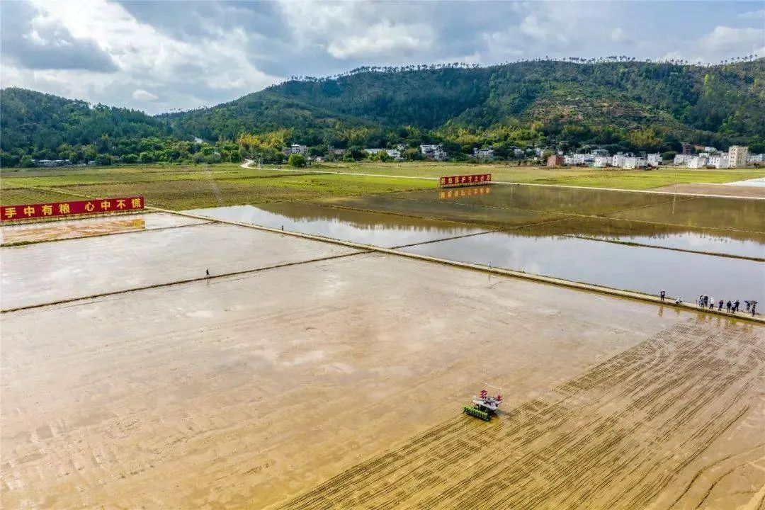 首次無人駕駛水直播機播種“太空稻”！羅錫文院士：屬全國首次！