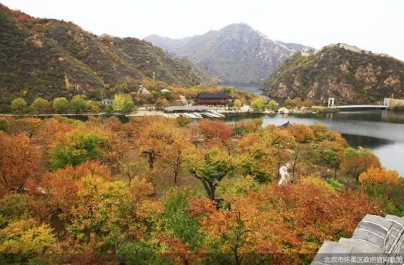 京郊“打卡”熱度持續(xù)，北京農業(yè)“附加值”亮眼
