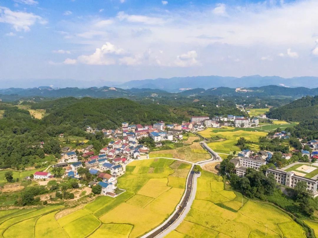 我國鄉(xiāng)村人口變動趨勢及其對鄉(xiāng)村建設(shè)的影響