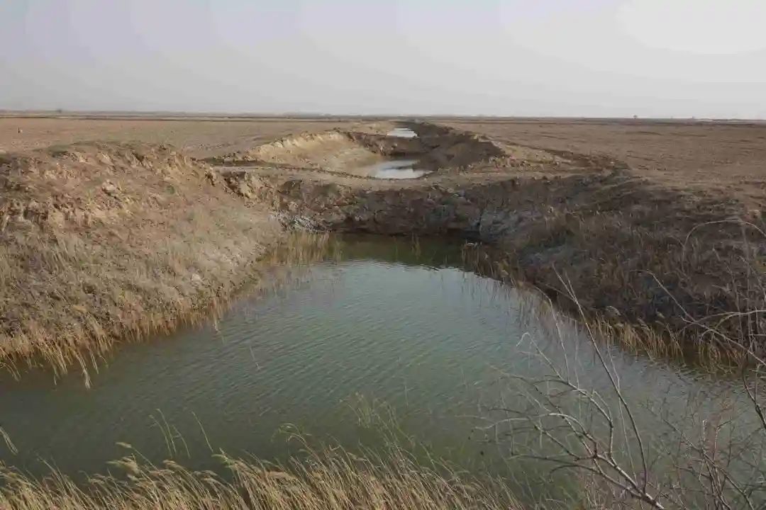 陜西榆林：6000余畝高標準農田，緣何撂荒7年？