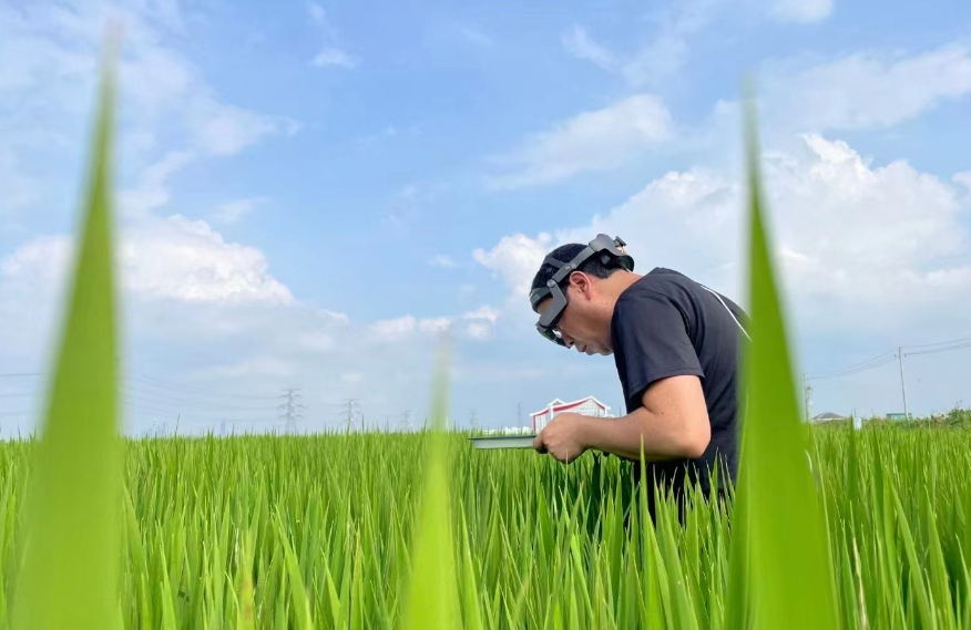 農業(yè)ＡＲ眼鏡為智慧植保鍛造“火眼金睛”