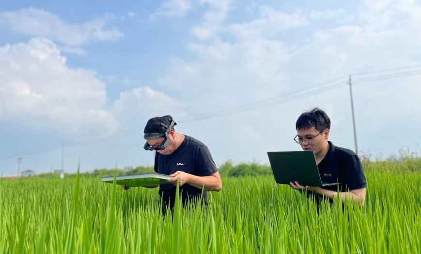農業(yè)ＡＲ眼鏡為智慧植保鍛造“火眼金睛”