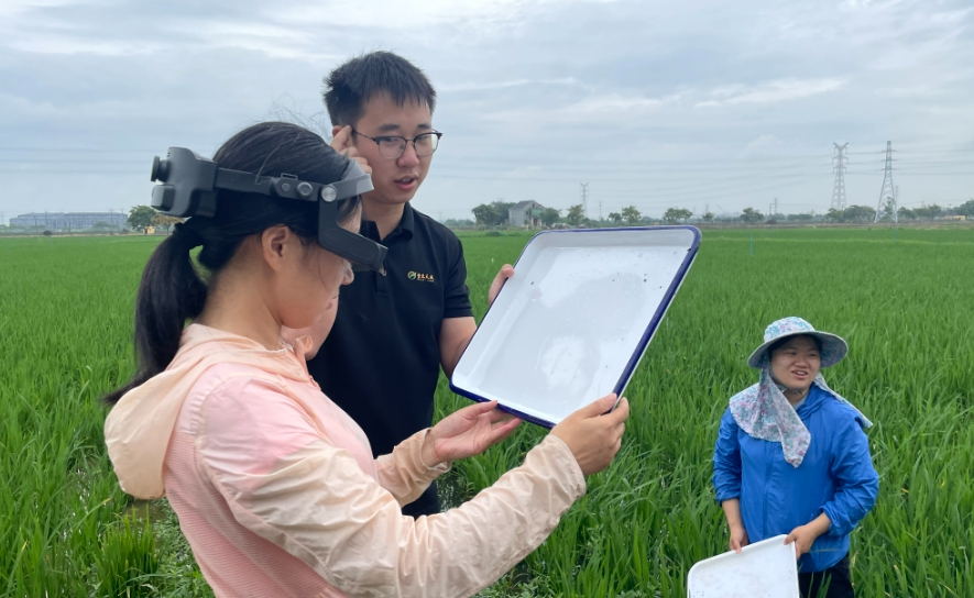 農業(yè)ＡＲ眼鏡為智慧植保鍛造“火眼金睛”